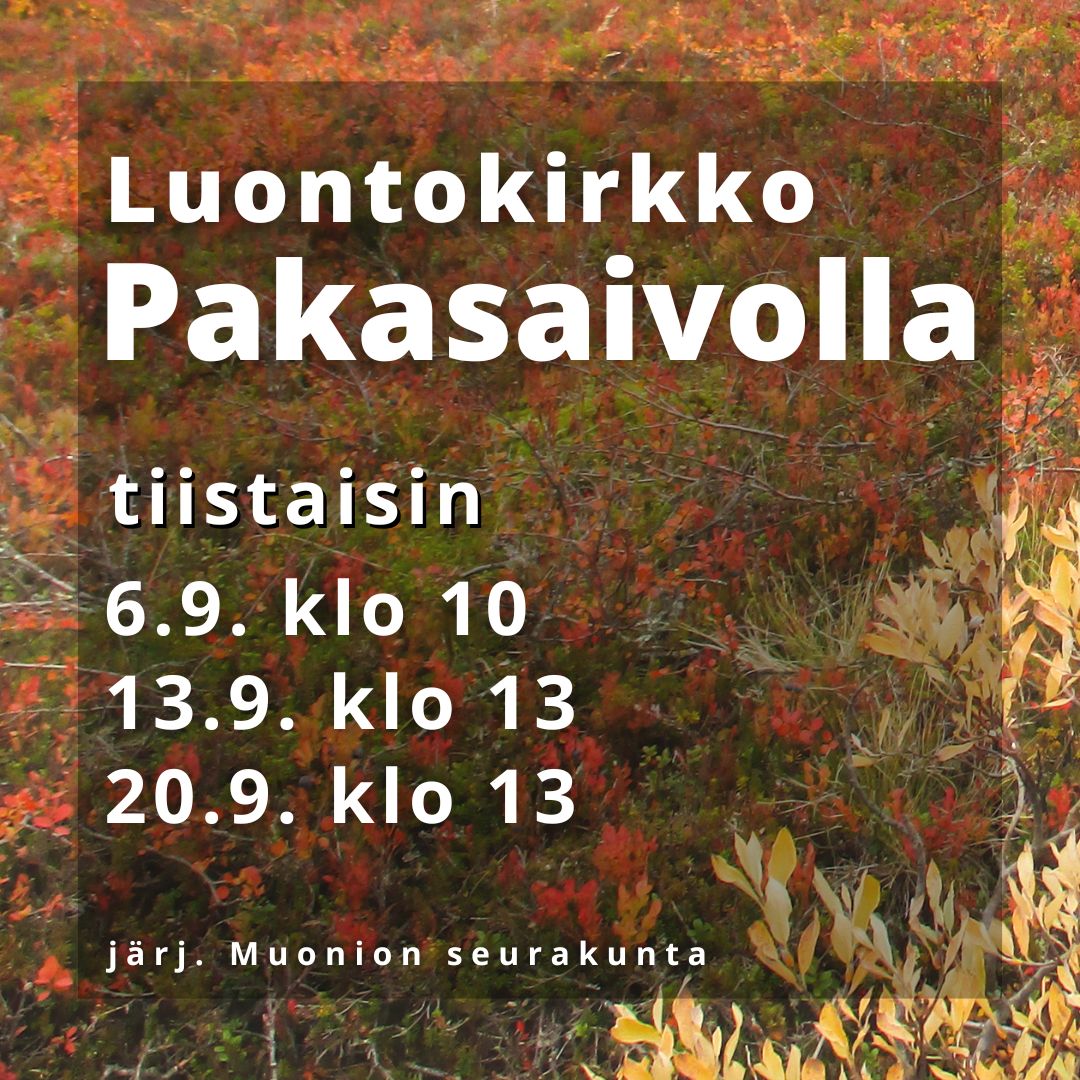 Syksyinen maisema