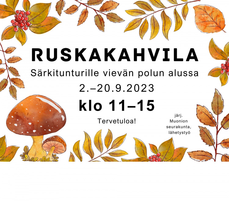 Ruskaoksia ja sieniä